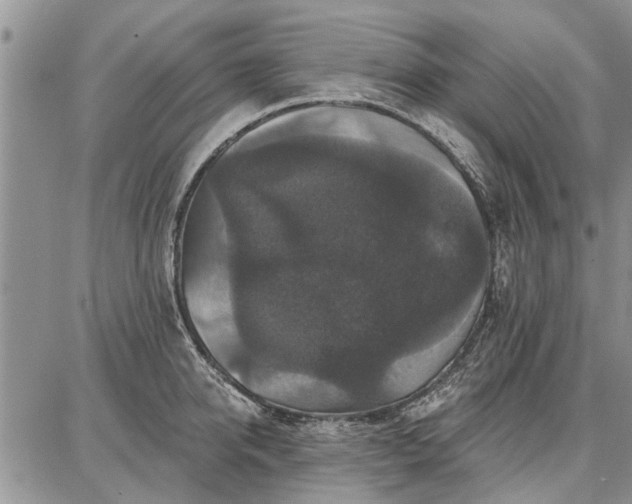 X0000086880950200704231059