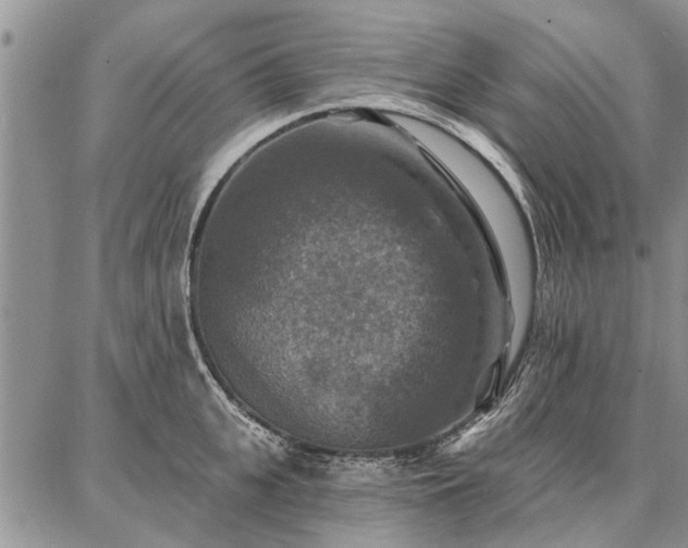 X0000086880951200704231059