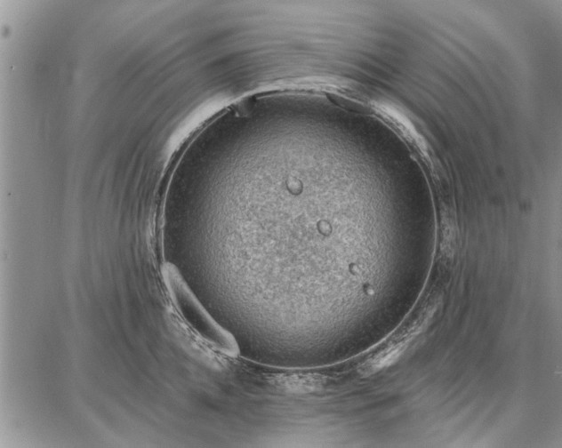 X0000086880952200704231059