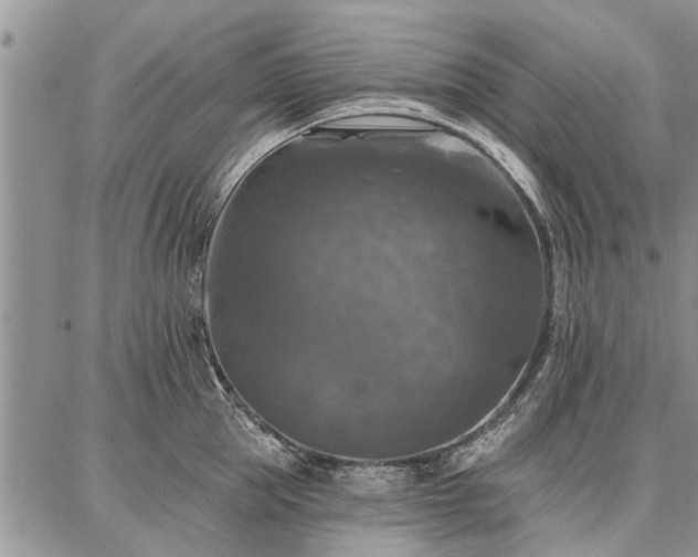 X0000086880953200704231059