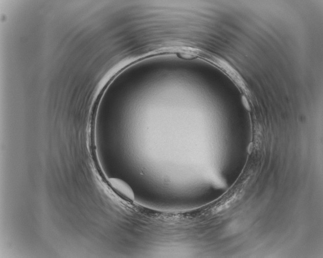 X0000086880955200704231059