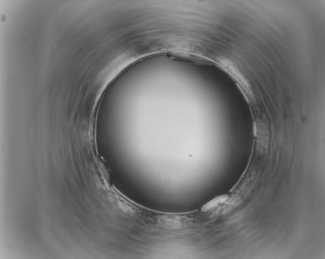 X0000086880956200704231059