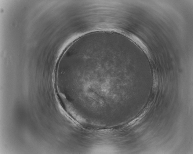 X0000086880958200704231100