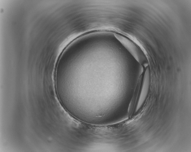 X0000086880959200704231100