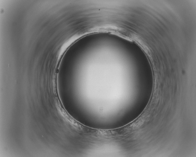 X0000086880960200704231100