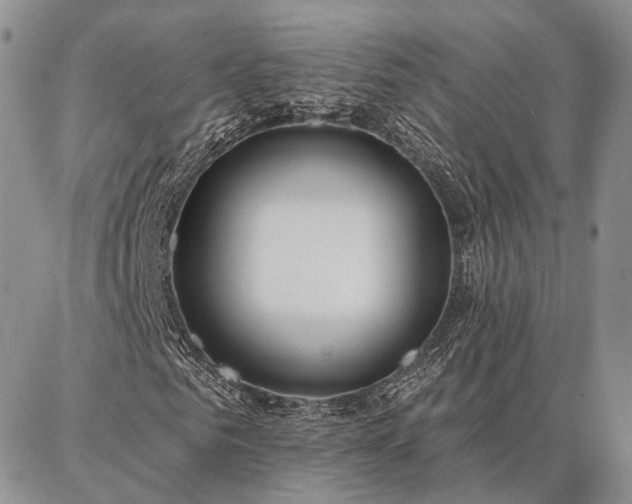 X0000086880961200704231059