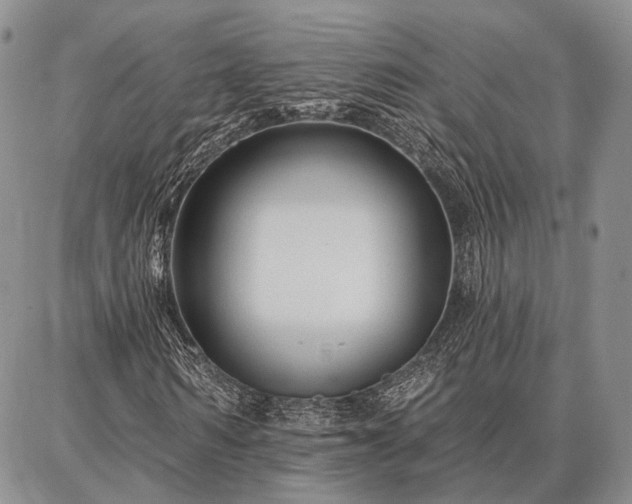 X0000086880962200704231059