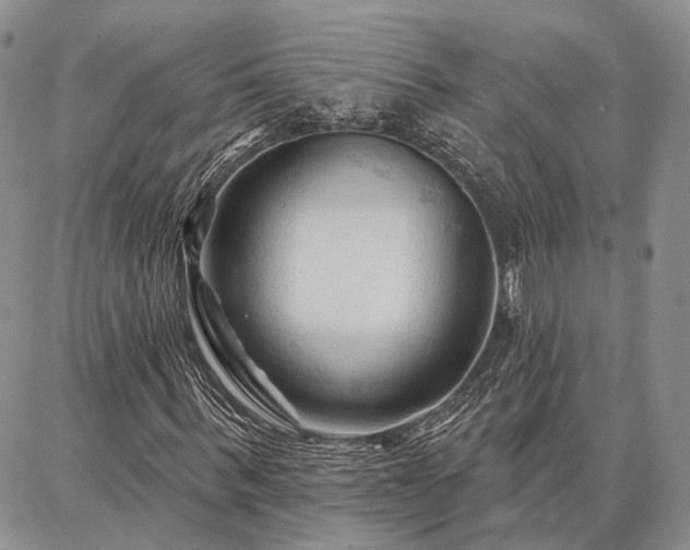 X0000086880963200704231059