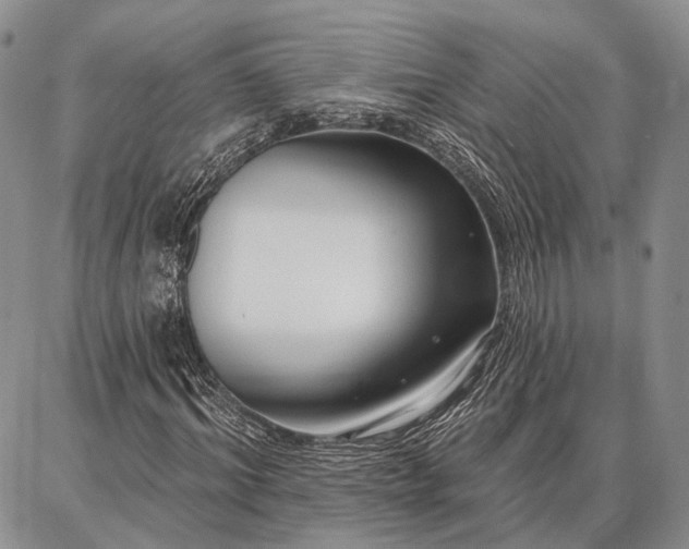 X0000086880964200704231059