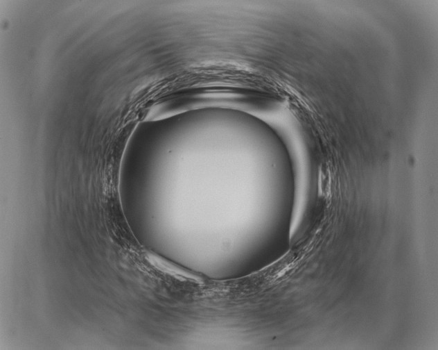 X0000086880965200704231059