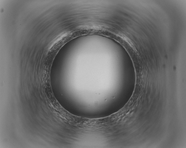 X0000086880967200704231059