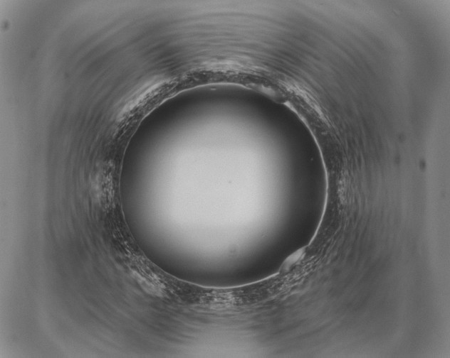 X0000086880968200704231059