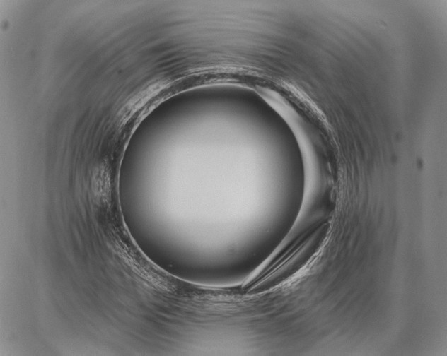 X0000086880969200704231059