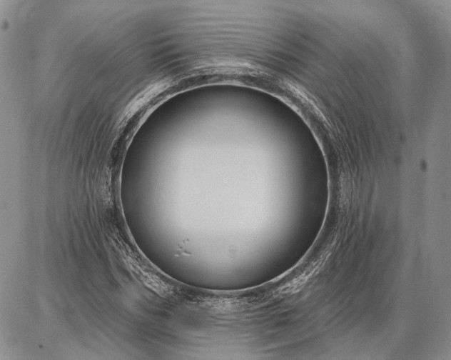 X0000086880970200704231059