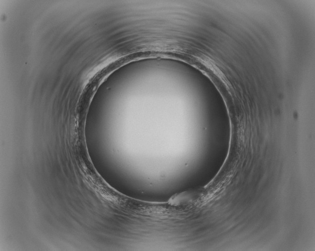 X0000086880971200704231059