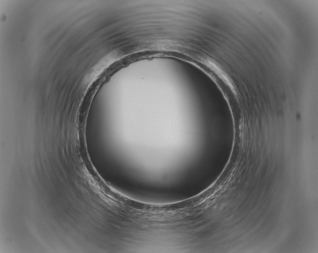 X0000086880972200704231059