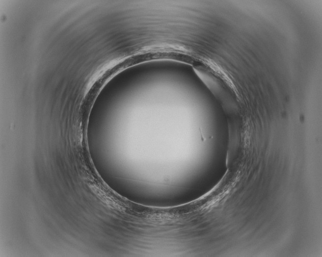 X0000086880973200704231059