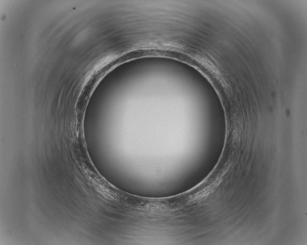 X0000086880974200704231059