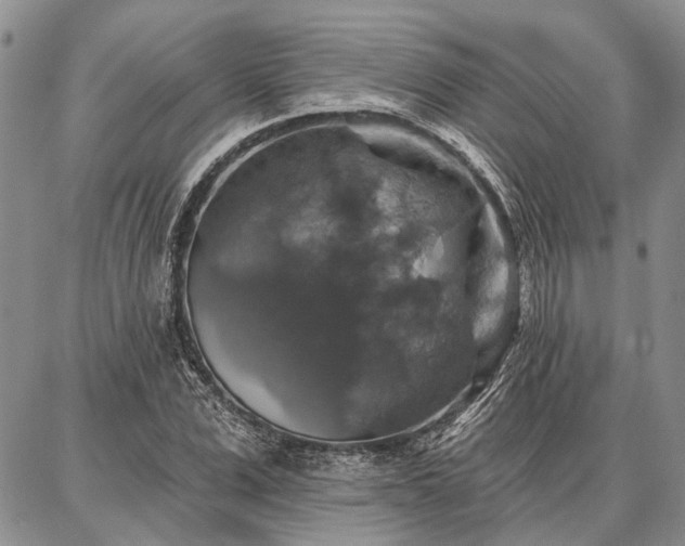 X0000086880975200704231059