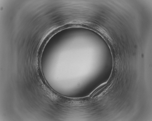 X0000086880976200704231059