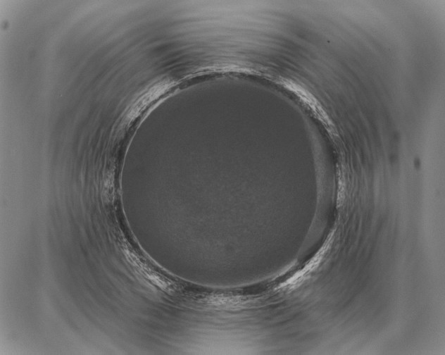 X0000086880977200704231059