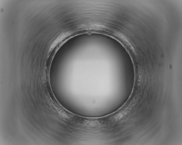 X0000086880978200704231058