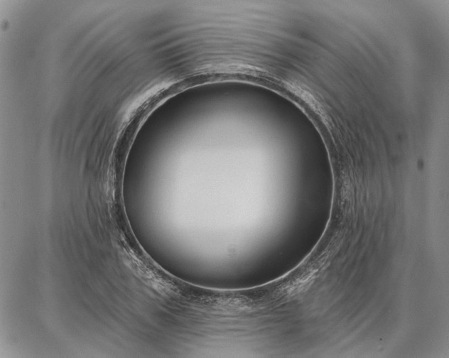 X0000086880979200704231058