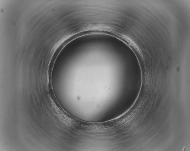 X0000086880980200704231058