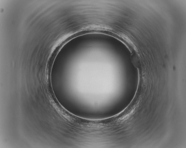 X0000086880981200704231058