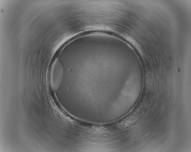 X0000086880983200704231058