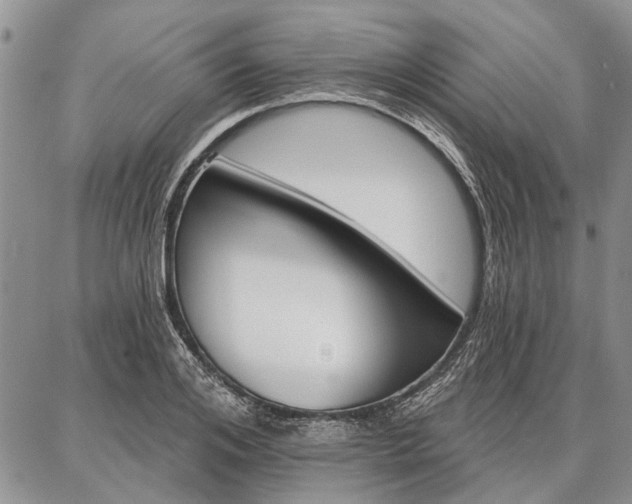 X0000086880984200704231058