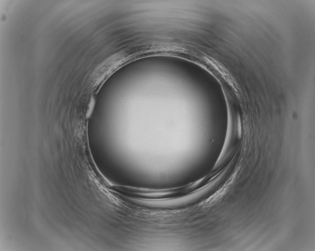 X0000086880985200704231058