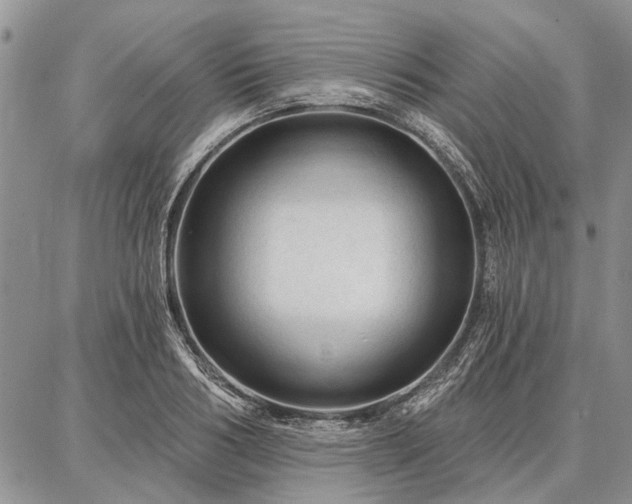 X0000086880986200704231058