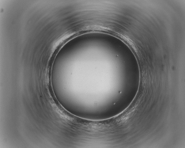 X0000086880987200704231058