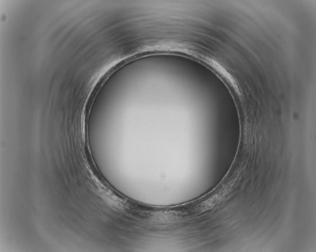 X0000086880988200704231058