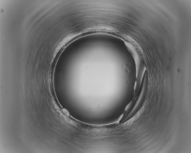 X0000086880989200704231058