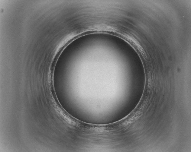 X0000086880990200704231058