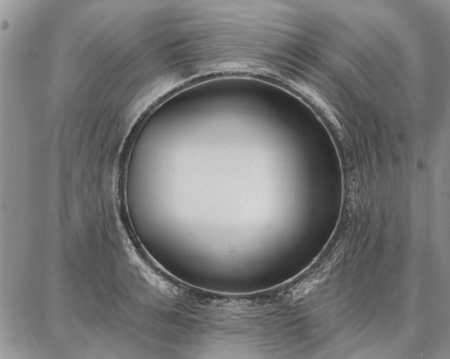 X0000086880991200704231058