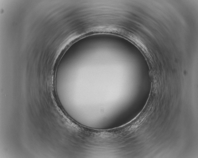 X0000086880992200704231058