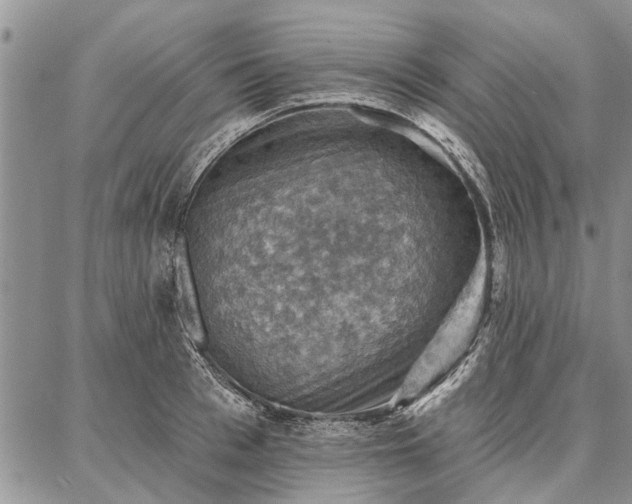 X0000086880993200704231058