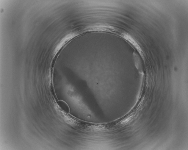 X0000086880994200704231058