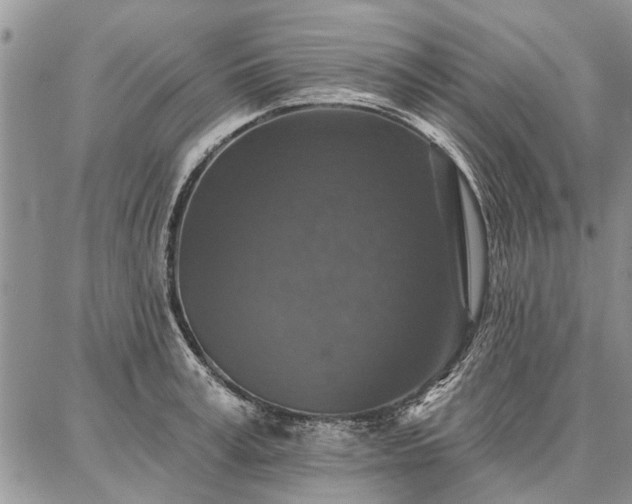 X0000086880995200704231058