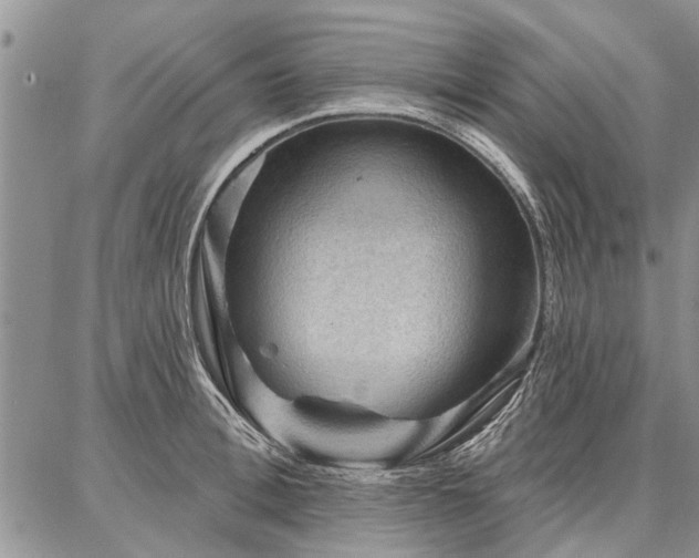 X0000086880996200704231058