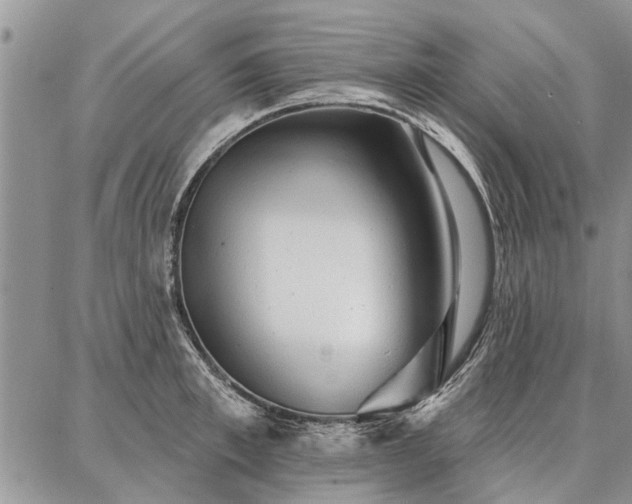 X0000086880997200704231058