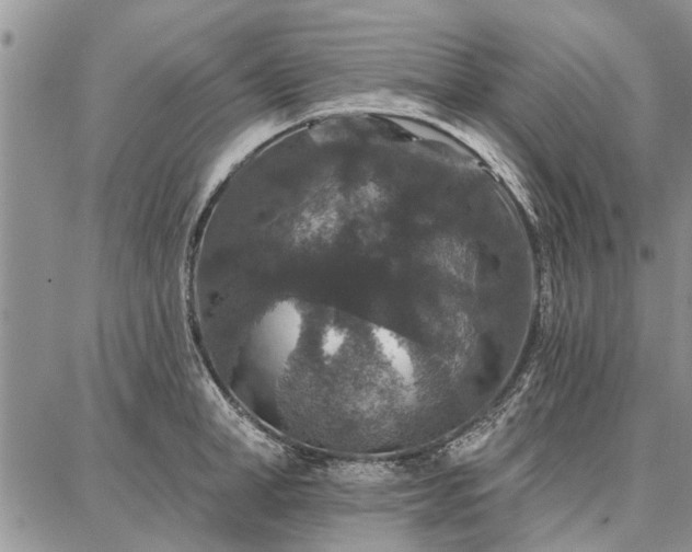 X0000086880998200704231058