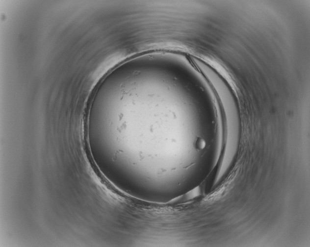 X0000086880999200704231058