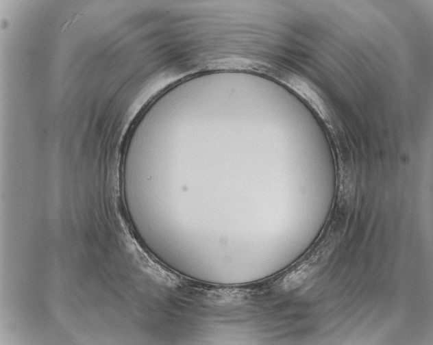 X0000086881000200704231058