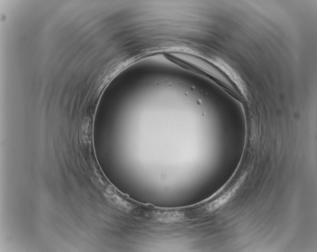 X0000086881001200704231058