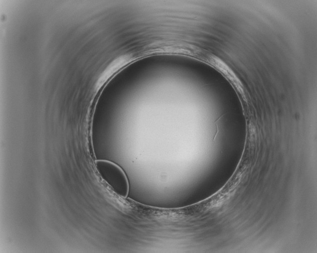 X0000086881002200704231058