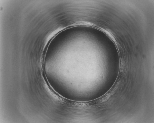 X0000086881003200704231058